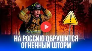 Сибирь и Север в огне: Россию накрывает волна пожаров – объявлен ЧП