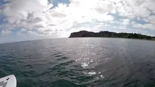 Paddleboarding 360° Video