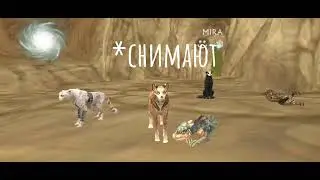 мем