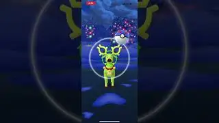 Shiny deer with a fancy collar