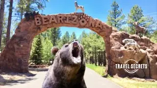 Our Film Crew's VIP Tour: A Behind-the-Scenes Look!