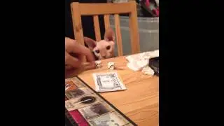 Smeagol plays lord of the rings monopoly