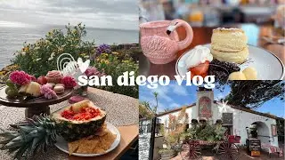 san diego vlog ☀️🌴🌺