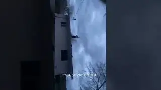 Knuckles is on the roof