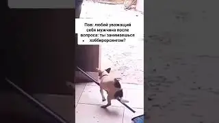 хобихорсинг #memes #мем #f1lizzi