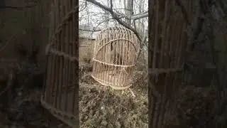 чужа