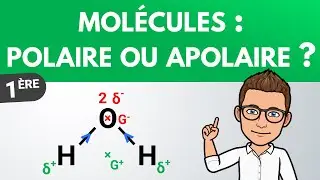 Déterminer la polarité d'une molécule | Première | Physique-Chimie