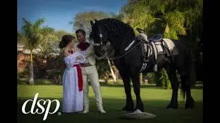 Tipos de sesiones para bodas