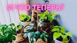 Что делать и как быть?