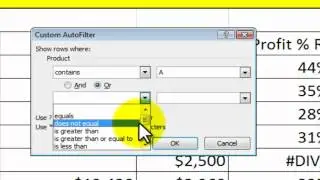 How to Filter in Excel