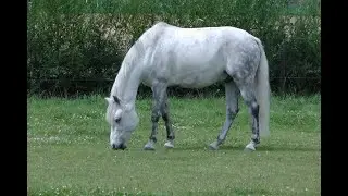 Рядом с нами