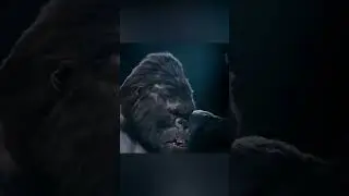 காங் நகரத்திற்கு வந்தால்! @filmfeathers #kong #newyork #monster