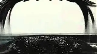 Ferrofluid Sculptures by Sachiko Kodama