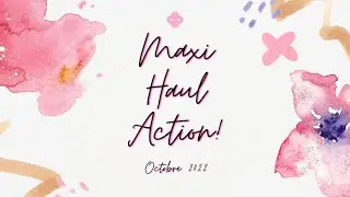 Maxi Haul Action +de 100 euros