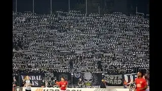 Šalovi, Rolne, Dozivanje sa Zapadom i Istokom | Partizan - Manchester United 24.10.2019.