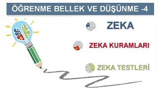 Zeka ve Zeka Kuramları (AYT-Felsefe Grubu) #18