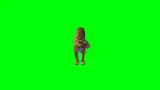 Tiger! Green screen video! No copyright! Use free!!