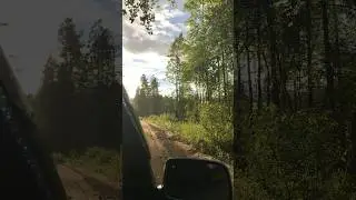 Какой красивый летний дождь