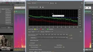 Advanced Noise Reduction in Audition