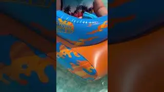 #freeproduct