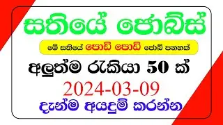 Sathiye Jobs | jobs vacancy 2024 | Online jobs | jobs at home | job interview | 2024-03-09