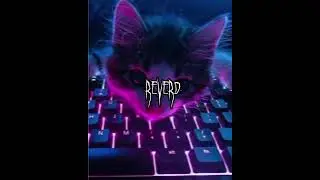 i can't  do this (reverd)