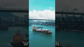 The Baltimore Bridge Collapse is worse than we thought!