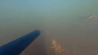 Хороший прозрак. Много рыбы