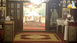 صور من الحزن المتحول الى فرح-القس انطونيوس بطرس-عظةالقداس الالهي-كنيسةالعذراءمريم الزيتون 23-11-2024