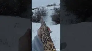 Охота на зайцев #shortvideo #охота #охотаназайца #шортс #shorts #охотавидео #maxhunter
