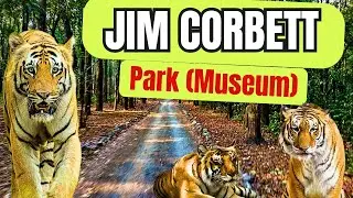 Jim Corbett National Park Museum inside view Uttarakhand