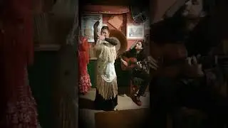 FlamencoEsencia , Pili Carmona Triana Flamenco