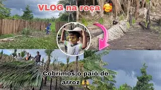 COBRIMOS A CASA NA ROÇA 🏠| LIMPAMOS O QUINTAL🙌| E MUITO MAIS