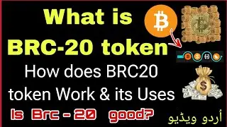 What is Brc-20 Token | How does Brc-20 token Work & its Use | Is brc20 good