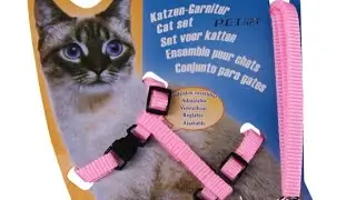 шлейка для кота
