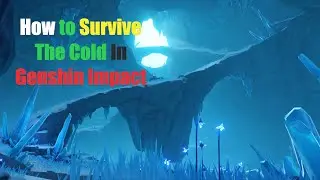 How to survive sheer cold in genshin impact