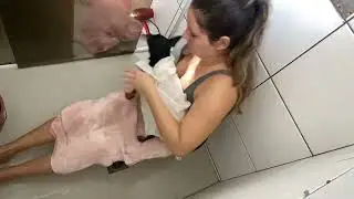 Dando banho nos pets em casa