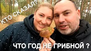 Собираем ГРИБЫ  | поход за грибами | пол часа и сковородка!