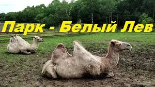 ЖИВОТНЫЕ И ПТИЦЫ - ПАРК - БЕЛЫЙ ЛЕВ !