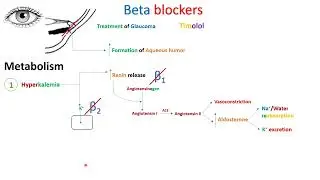 Beta blockers - Part 4 - in Arabic