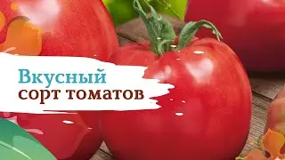Томаты Калабрези