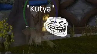 Void Reaver Kill - Enhancement PoV - read description