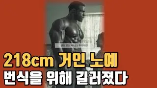 Other labors of the 218cm giant slave