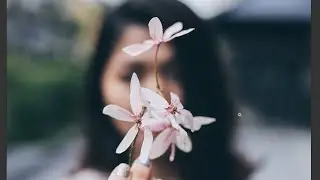 Project Motion Theater Effects _ Day 24 _ flowers _ Photoshop Tutorial
