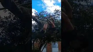 #gimbarr #sport #воркаут #спорт #calisthenics #джимбарр #parkour #streetworkout