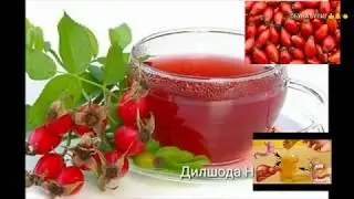 Чудеса Шиповника, Наматак ажойиб фойдаси 💥