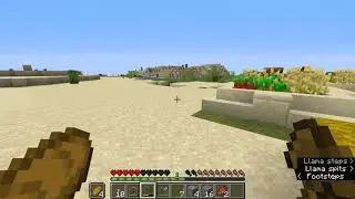 Minecraft Fun!
