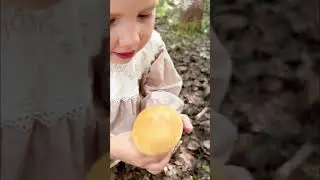 3 августа 2024 г.