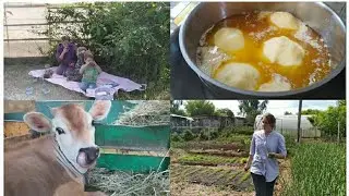 ВСЕ МОИ ТРУДЫ БЫЛИ НАПРАСНЫ... 🙈🐔🐄🐖