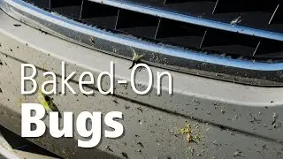 How To Clean Bugs Off Your Car